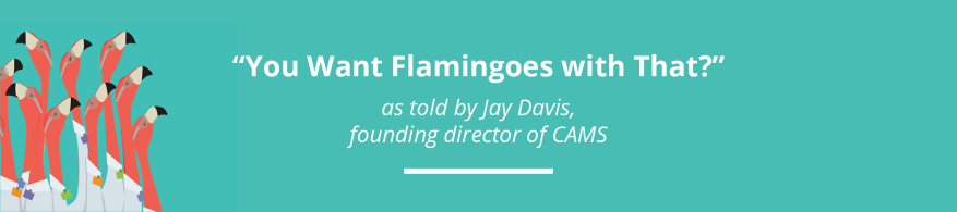 Banner with cartoon images of flamingoes and the words "You want Flamingoes with That? as told by Jay Davis, founding director of CAMS